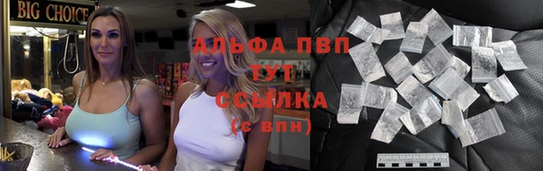 крисы Баксан