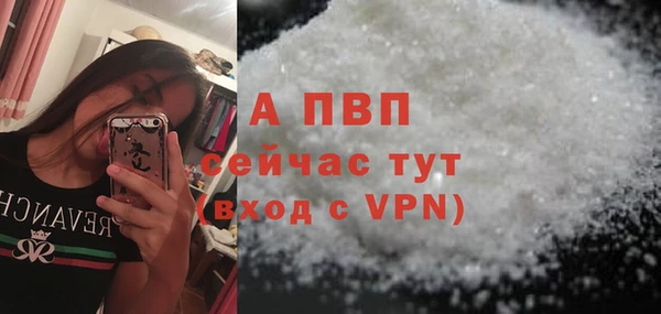 крисы Баксан