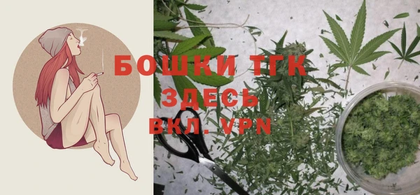 крисы Баксан