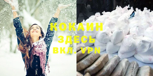 крисы Баксан
