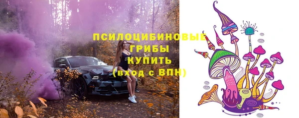 крисы Баксан