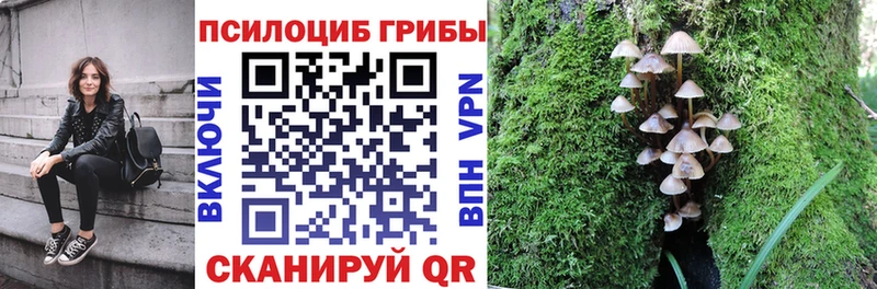 Галлюциногенные грибы ЛСД где продают Валуйки