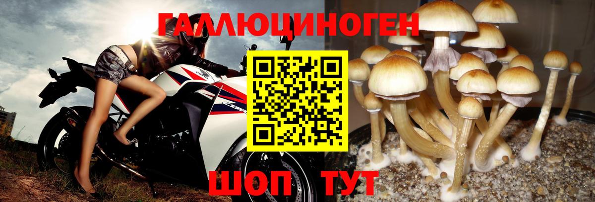 Галлюциногенные грибы Magic Shrooms Валуйки