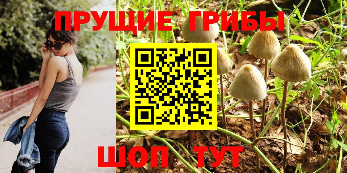 Валуйки  Галлюциногенные грибы GOLDEN TEACHER  Вход с VPN  Галлюциногенные грибы прущие грибы 